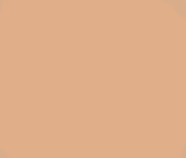 29C TAUPE BEIGE